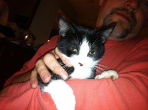 A close-up picture of a man in a dark pink shirt, holding a black-and-white kitten.