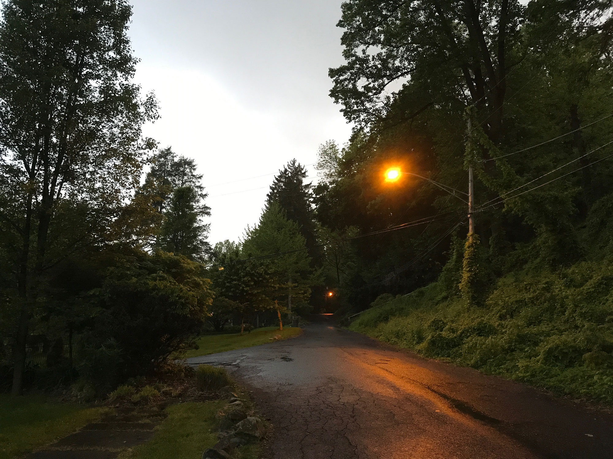 Rain clouds overhead, dark trees barely illuminated in the morning light. A street lamp glows to the right.