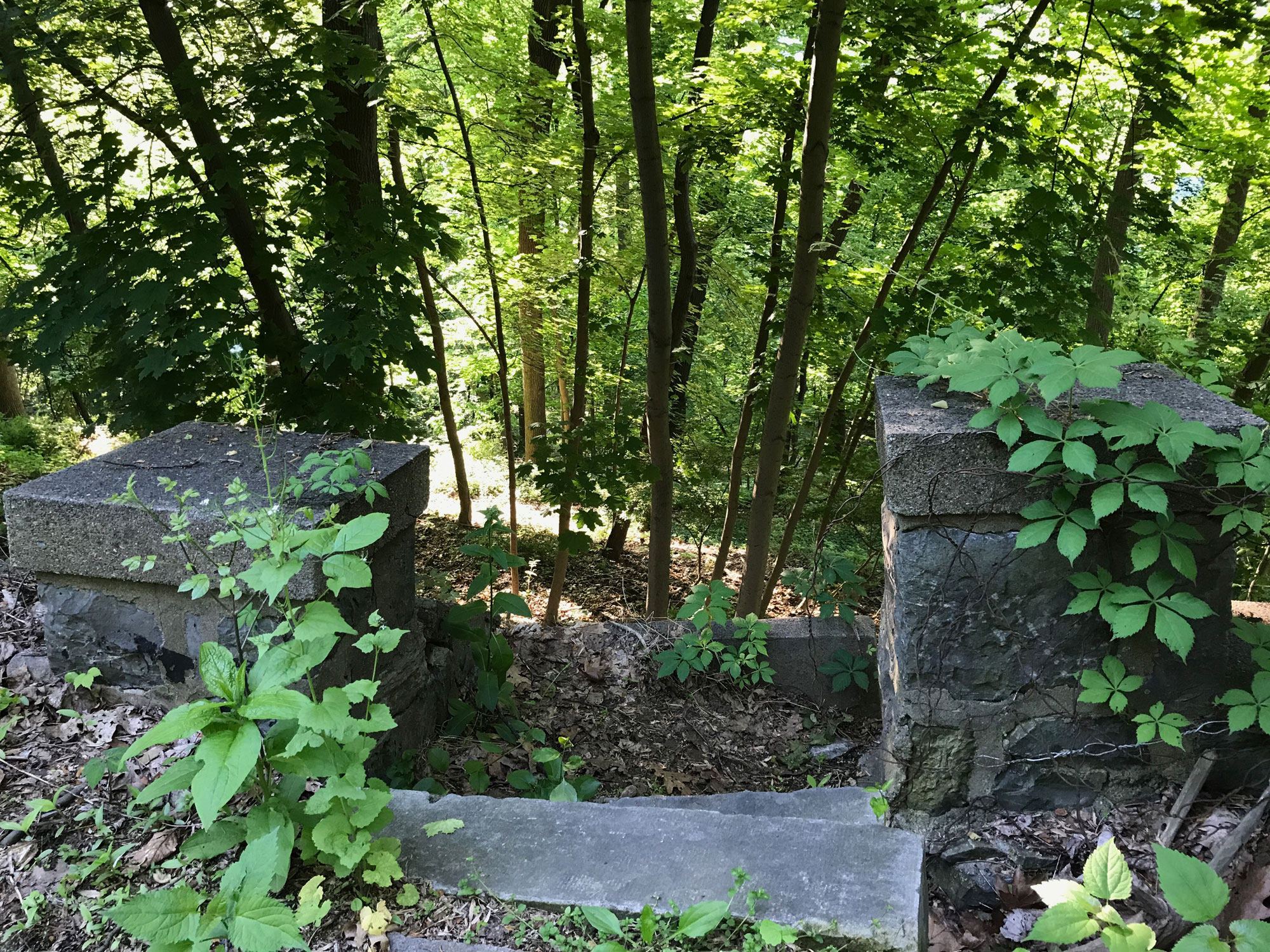 A stone staircase leads to a forested hill.