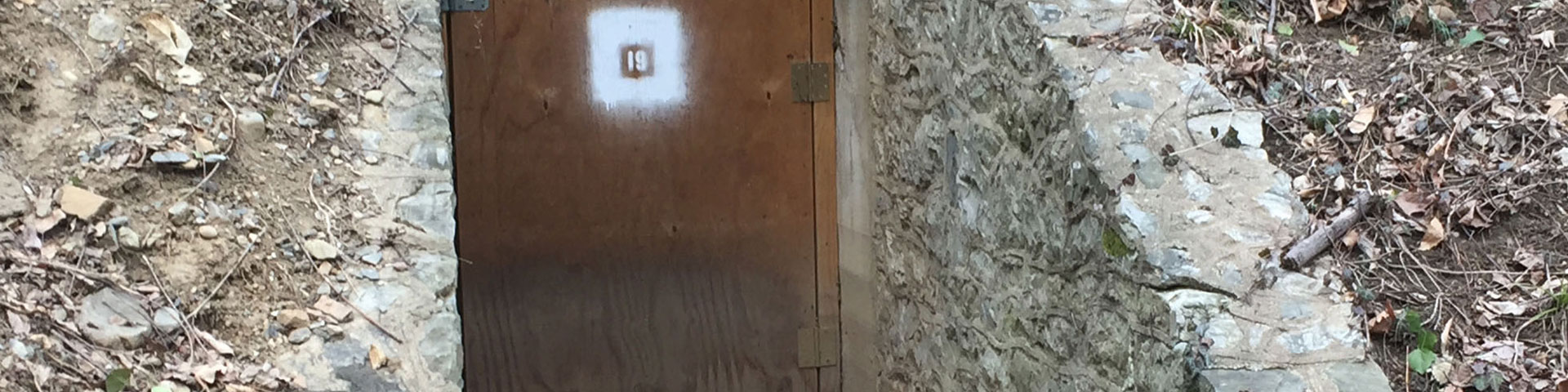 A door set amidst a stone wall.