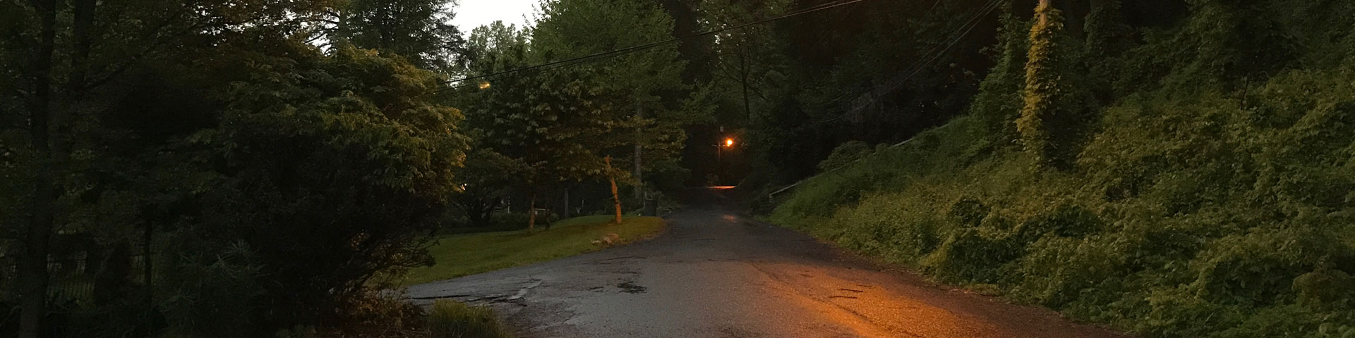 Rain clouds overhead, dark trees barely illuminated in the morning light. A street lamp glows to the right.