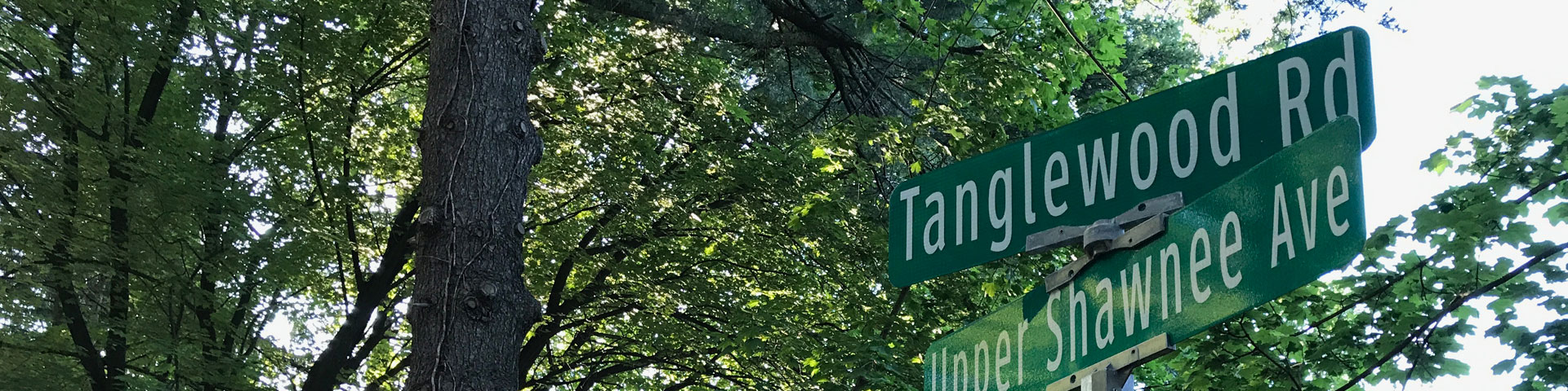 Two street signs and a stop sign appear against a background of green-leafed trees.