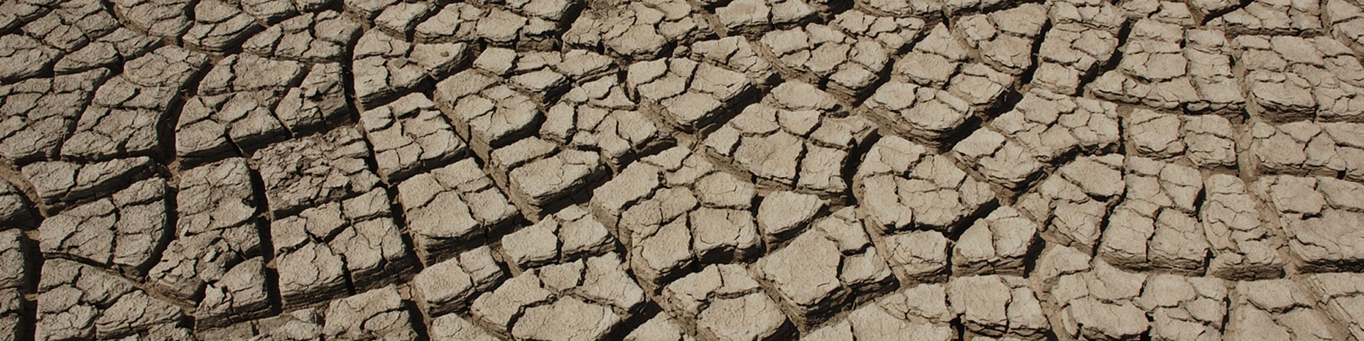 A close-up picture of racked and broken earth.