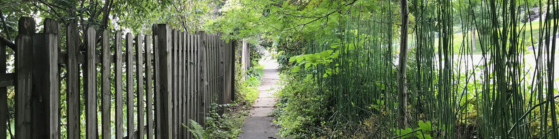 A straight sidewalk is bordered on the left by a fence and on the right by bamboo and other greenery.