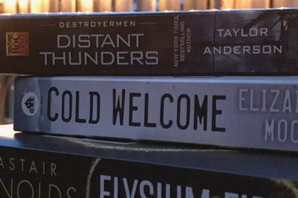 A stack of three books, with a small garden and white string lights in the background.