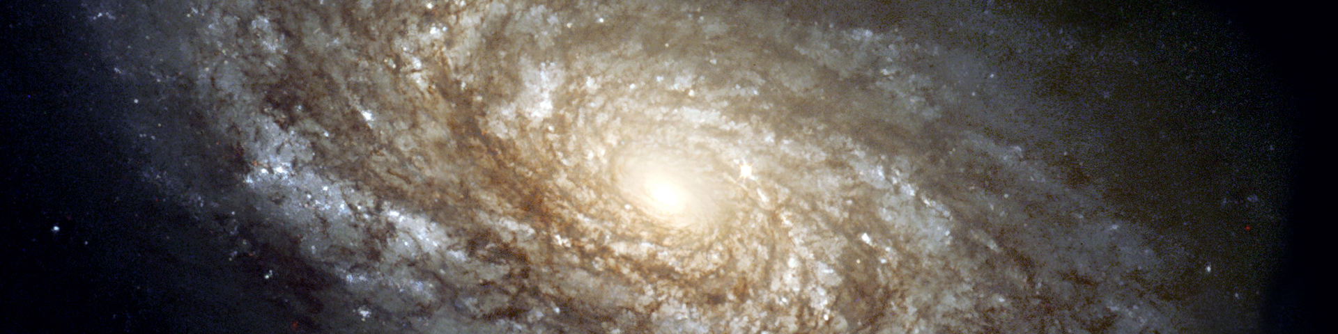 A large spiral galaxy.