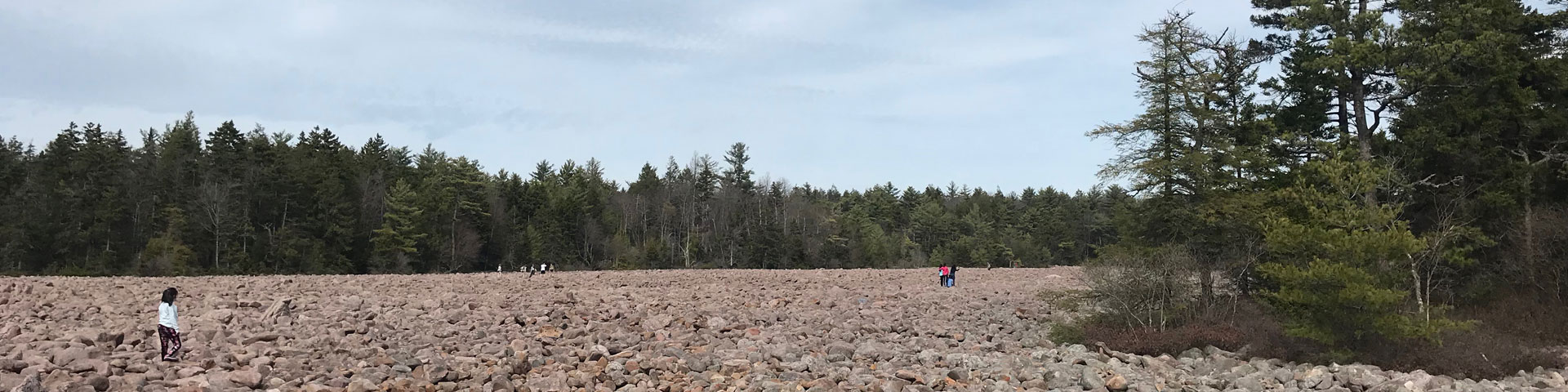 A field of boulder, lined by trees.